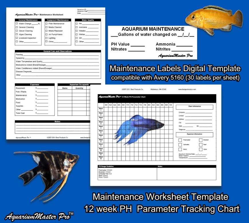 aquarium-maintenance-products